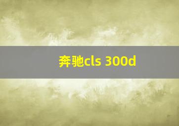 奔驰cls 300d